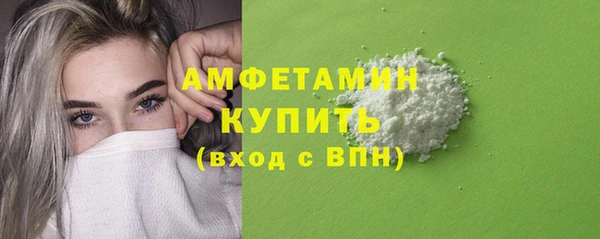 гашик Козловка