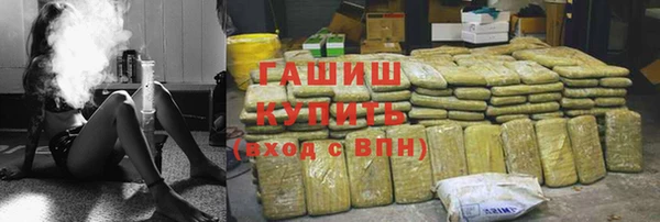 гашик Козловка