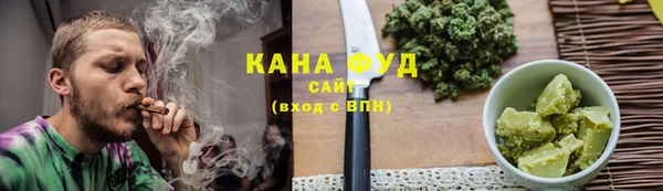 гашик Козловка