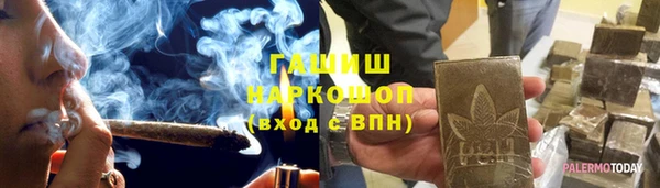 гашик Козловка