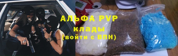 гашик Козловка