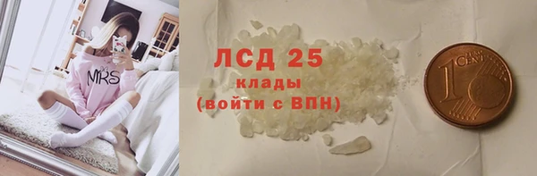 гашик Козловка