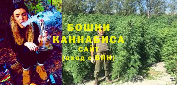 гашик Козловка