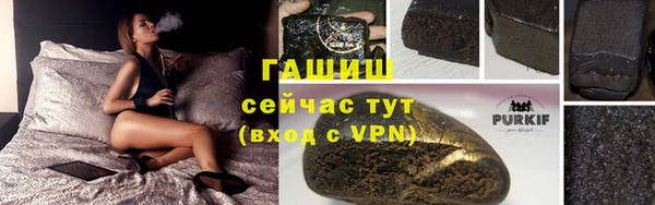 гашик Козловка